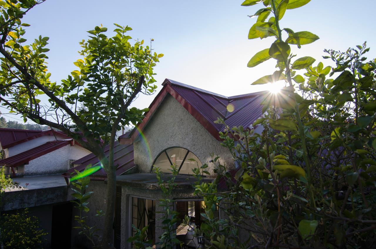 Open View Estate Villa Ranikhet Dış mekan fotoğraf